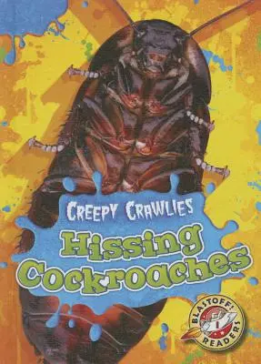 Syčící švábi - Hissing Cockroaches