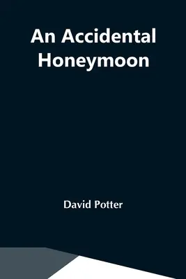 Náhodné líbánky - An Accidental Honeymoon