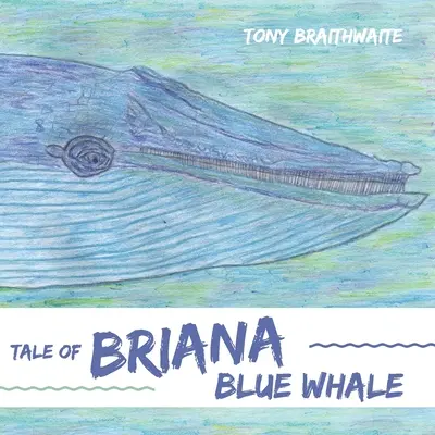 Příběh modré velryby Briany - Tale of Briana Blue Whale