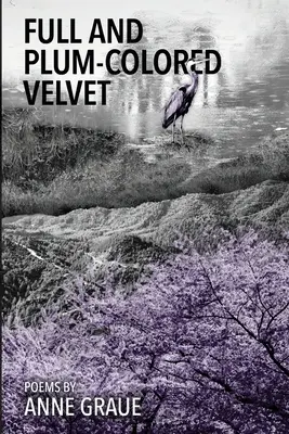 Plný a švestkový samet - Full and Plum-Colored Velvet