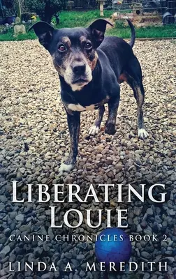Osvobození Louieho: Cesta do Rutlandu - Liberating Louie: The Road To Rutland