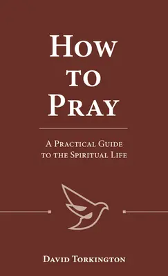 Jak se modlit: Praktický průvodce duchovním životem - How to Pray: A Practical Guide to the Spiritual Life