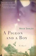 Holub a chlapec - A Pigeon and a Boy