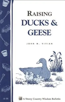 Chov kachen a hus: Storey's Country Wisdom Bulletin A-18 - Raising Ducks & Geese: Storey's Country Wisdom Bulletin A-18