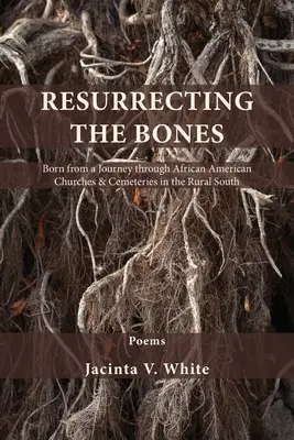 Vzkříšení kostí: Zrozeno z cesty po afroamerických kostelech a hřbitovech na venkově na Jihu. - Resurrecting the Bones: Born from a Journey through African American Churches & Cemeteries in the Rural South