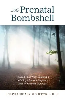 Prenatální bomba: Pomoc a naděje při pokračování nebo ukončení vzácného těhotenství po abnormální diagnóze - The Prenatal Bombshell: Help and Hope When Continuing or Ending a Precious Pregnancy After an Abnormal Diagnosis