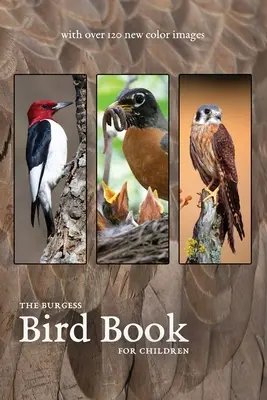 Burgessova kniha o ptácích s novými barevnými obrázky - The Burgess Bird Book with new color images