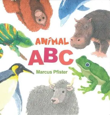 Zvířecí abeceda - Animal ABC