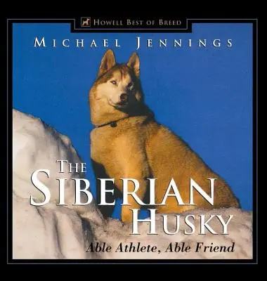 Sibiřský husky: Hluboký husarský kůň - Hluboký husarský kůň: Zdatný sportovec, zdatný přítel - The Siberian Husky: Able Athlete, Able Friend