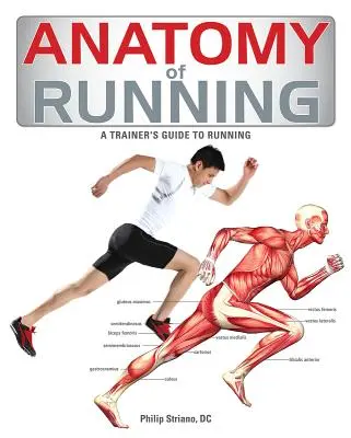 Anatomie běhu - Anatomy of Running