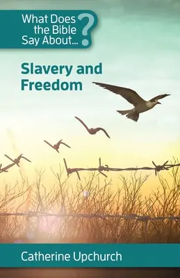 Co říká Bible o otroctví a svobodě - What Does the Bible Say About Slavery and Freedom
