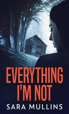 Všechno, co nejsem - Everything I'm Not