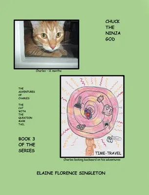 Chuck Ninja GOD: Dobrodružství kocoura Charlese s otazníkem na ocase - Chuck The Ninja GOD: The Adventures Of Charles The Cat With The Question Mark Tail