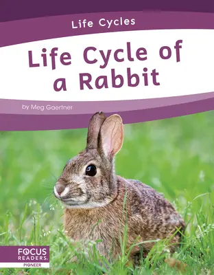 Životní cyklus králíka - Life Cycle of a Rabbit