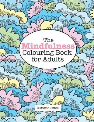 MINDFULNESS omalovánky pro dospělé - The MINDFULNESS Colouring Book for Adults
