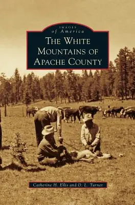 Bílé hory okresu Apačů - White Mountains of Apache County