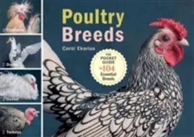 Plemena drůbeže: Slepice, kachny, husy, krůty: Kapesní průvodce 104 základními plemeny - Poultry Breeds: Chickens, Ducks, Geese, Turkeys: The Pocket Guide to 104 Essential Breeds