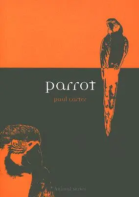 Papoušek - Parrot