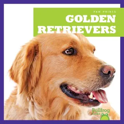 Zlatí retrívři - Golden Retrievers
