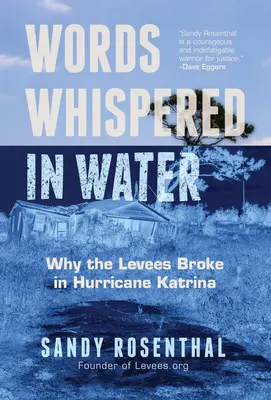 Slova zašeptaná ve vodě: (Přírodní katastrofa, záplavy v New Orleans, korupce ve státní správě): Proč se protrhly hráze při hurikánu Katrina? - Words Whispered in Water: Why the Levees Broke in Hurricane Katrina (Natural Disaster, New Orleans Flood, Government Corruption)