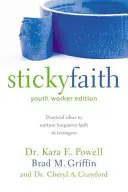 Sticky Faith, Youth Worker Edition (Lepkavá víra, vydání pro pracovníky s mládeží): Praktické nápady, jak v teenagerech vypěstovat dlouhodobou víru. - Sticky Faith, Youth Worker Edition: Practical Ideas to Nurture Long-Term Faith in Teenagers