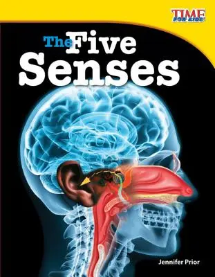 Pět smyslů - The Five Senses