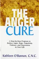 Léčba hněvu: Program krok za krokem, který vám pomůže snížit hněv, vztek, negativitu, násilí a deprese ve vašem životě - The Anger Cure: A Step-By-Step Program to Reduce Anger, Rage, Negativity, Violence, and Depression in Your Life