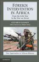 Zahraniční intervence v Africe: Od studené války k válce proti terorismu - Foreign Intervention in Africa: From the Cold War to the War on Terror