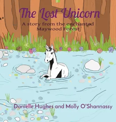 Ztracený jednorožec: Příběh z kouzelného Maywoodského lesa - The Lost Unicorn: A story from the enchanted Maywood Forest