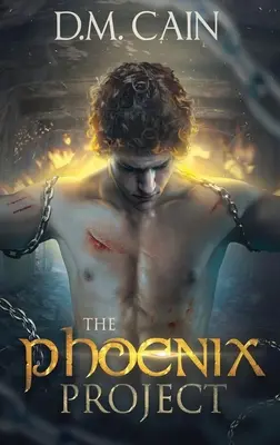 Projekt Fénix - The Phoenix Project
