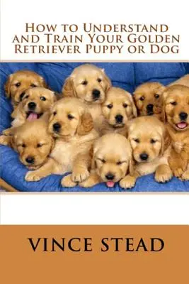 Jak porozumět a vycvičit štěně zlatého retrívra nebo psa s dobrým chováním - How to Understand and Train Your Golden Retriever Puppy or Dog