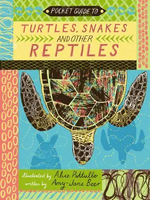 Kapesní průvodce želvami, hady a dalšími plazy - Pocket Guide to Turtles, Snakes, and Other Reptiles