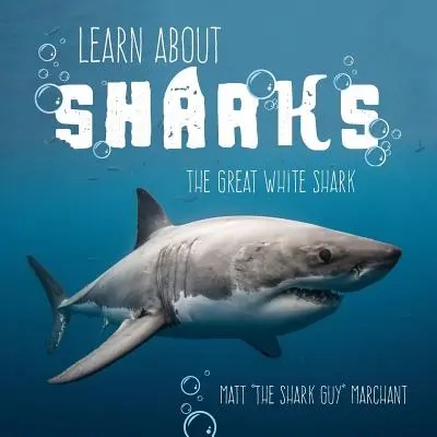 Poznejte žraloky: Velký bílý žralok - Learn About Sharks: The Great White Shark