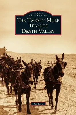 Dvacet mul z Údolí smrti - Twenty Mule Team of Death Valley