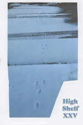 Vysoká police XXV: prosinec 2020 - High Shelf XXV: December 2020