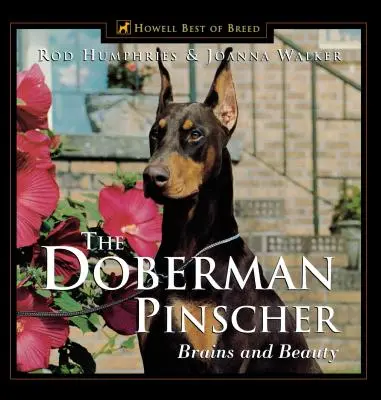 Dobrmanský pinč: Pobercher: Mozek a krása - The Doberman Pinscher: Brains and Beauty