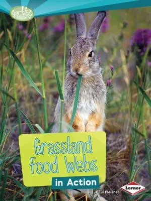 Potravní sítě na pastvinách v akci - Grassland Food Webs in Action