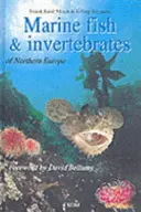 Mořské ryby a bezobratlí severní Evropy - Marine Fish & Invertebrates of Northern Europe