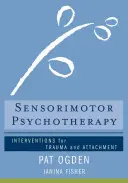Senzomotorická psychoterapie: Senzorická psychoterapie: intervence při traumatu a připoutání - Sensorimotor Psychotherapy: Interventions for Trauma and Attachment