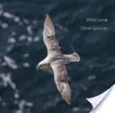 Divoká Looe - Wild Looe