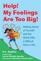 Pomoc! Mé pocity jsou příliš velké!: Po těžkém začátku života se snažte porozumět sobě a světu. - Help! My Feelings Are Too Big!: Making Sense of Yourself and the World After a Difficult Start in Life