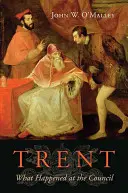 Trent: Co se stalo v radě - Trent: What Happened at the Council