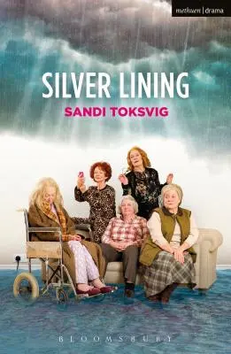Stříbrná podšívka - Silver Lining