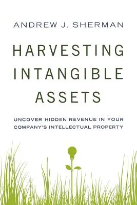 Sklizeň nehmotného majetku: Odhalte skryté příjmy z duševního vlastnictví vaší společnosti. - Harvesting Intangible Assets: Uncover Hidden Revenue in Your Company's Intellectual Property