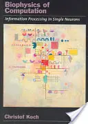Biofyzika výpočtů: Zpracování informací v jednotlivých neuronech - Biophysics of Computation: Information Processing in Single Neurons