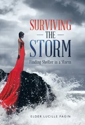 Přežít bouři: Hledání úkrytu v bouři - Surviving the Storm: Finding Shelter in a Storm