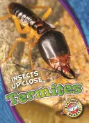 Termiti - Termites