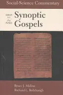 Společenskovědní komentář k synoptickým evangeliím - Social-Science Commentary on the Synoptic Gospels