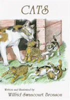 Kočky - Cats