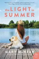 Světlo v létě: A Butternut Lake Novel - The Light in Summer: A Butternut Lake Novel
